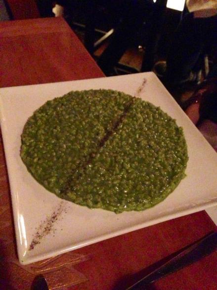 480741_1801291505068_1867156055_n