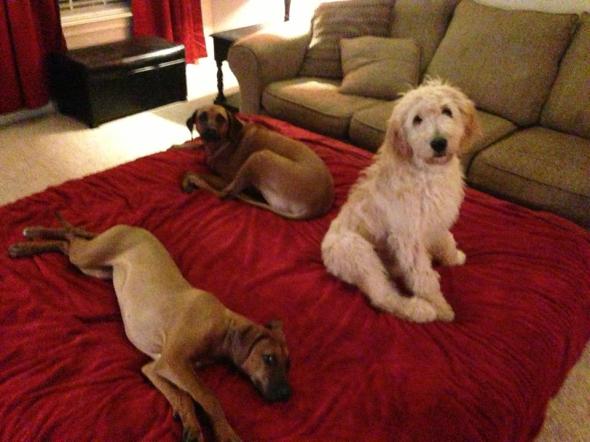 539750_1856577607186_566937347_n