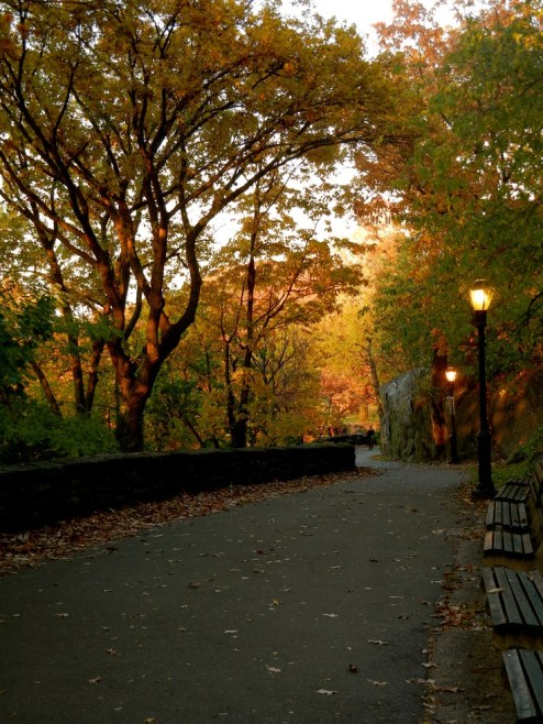 88ff138d8643c3845b2295af05b85315