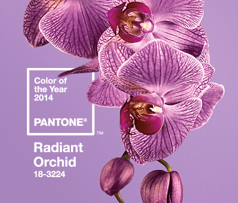 Screen Shot 2014-01-19 at 5.56.07 PM