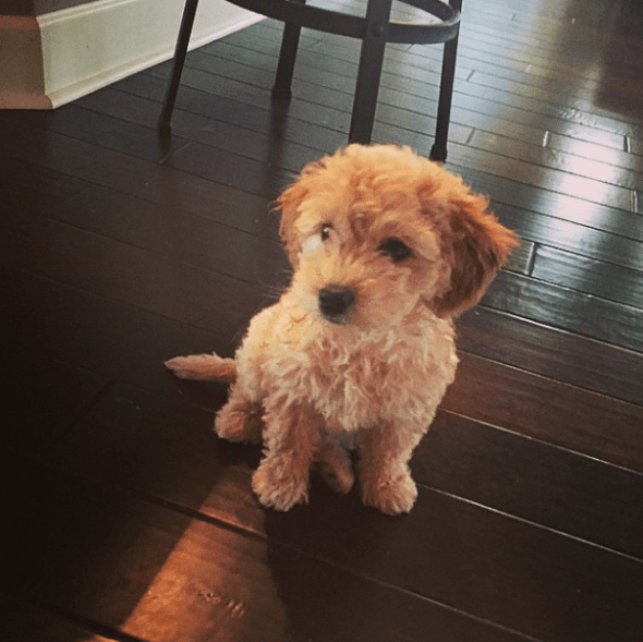 Screen Shot 2014-10-21 at 7.42.56 PM