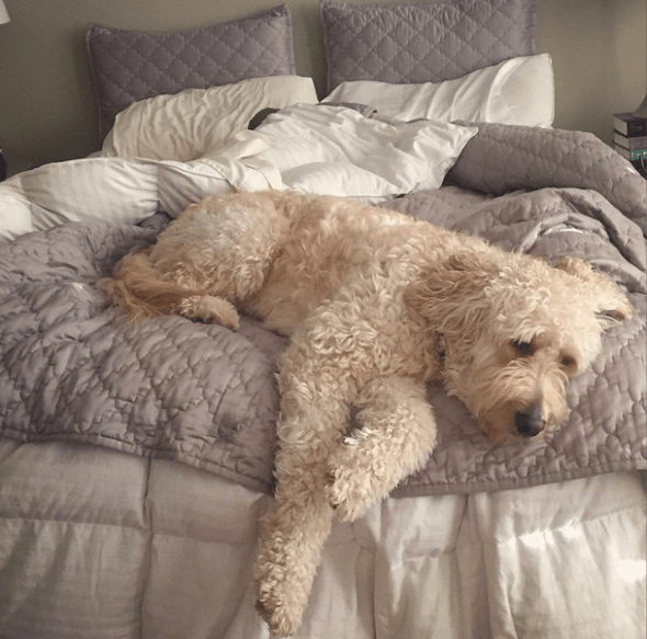 Screen Shot 2014-11-16 at 11.46.36 AM