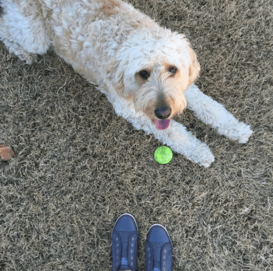 Screen Shot 2014-12-06 at 11.42.36 AM