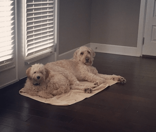 Screen Shot 2015-02-21 at 3.04.08 PM