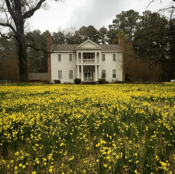 Screen Shot 2015-03-29 at 11.53.56 AM