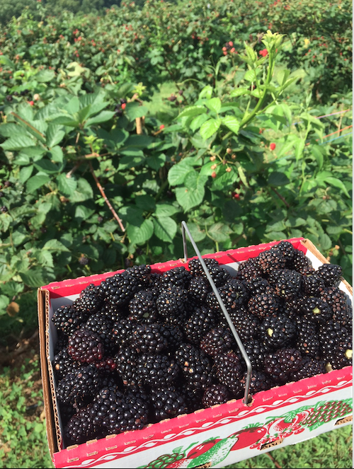 Screen Shot 2015-07-01 at 5.52.52 PM