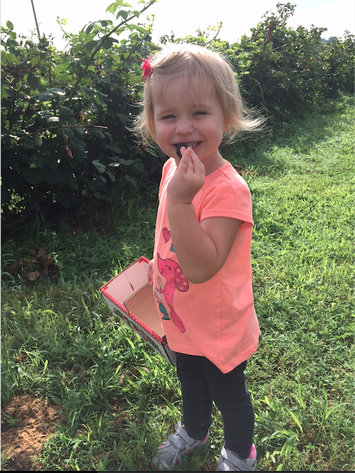 Screen Shot 2015-07-01 at 5.53.36 PM