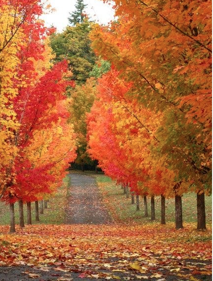 Screen Shot 2015-08-12 at 7.08.37 PM