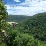 Screen Shot 2016-01-01 at 10.21.04&nbsp;AM