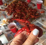 Screen Shot 2016-01-01 at 9.45.38&nbsp;AM