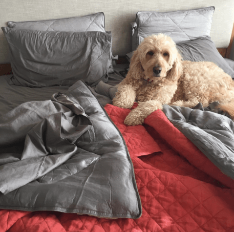 screen-shot-2016-10-23-at-5-51-55-pm