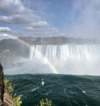 Screen Shot 2019-10-13 at 10.09.26&nbsp;AM